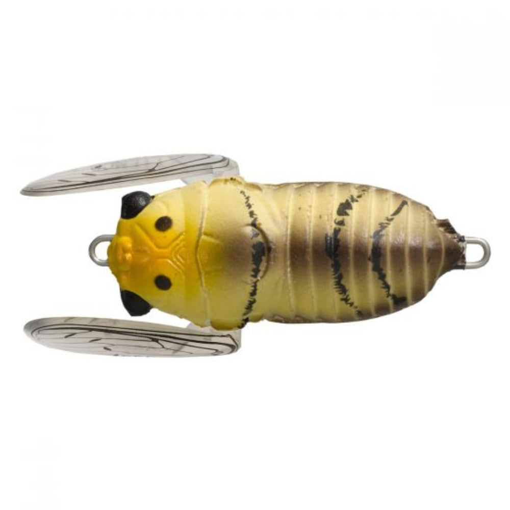 Tiemco Soft Shell Cicada – Boss Outdoor